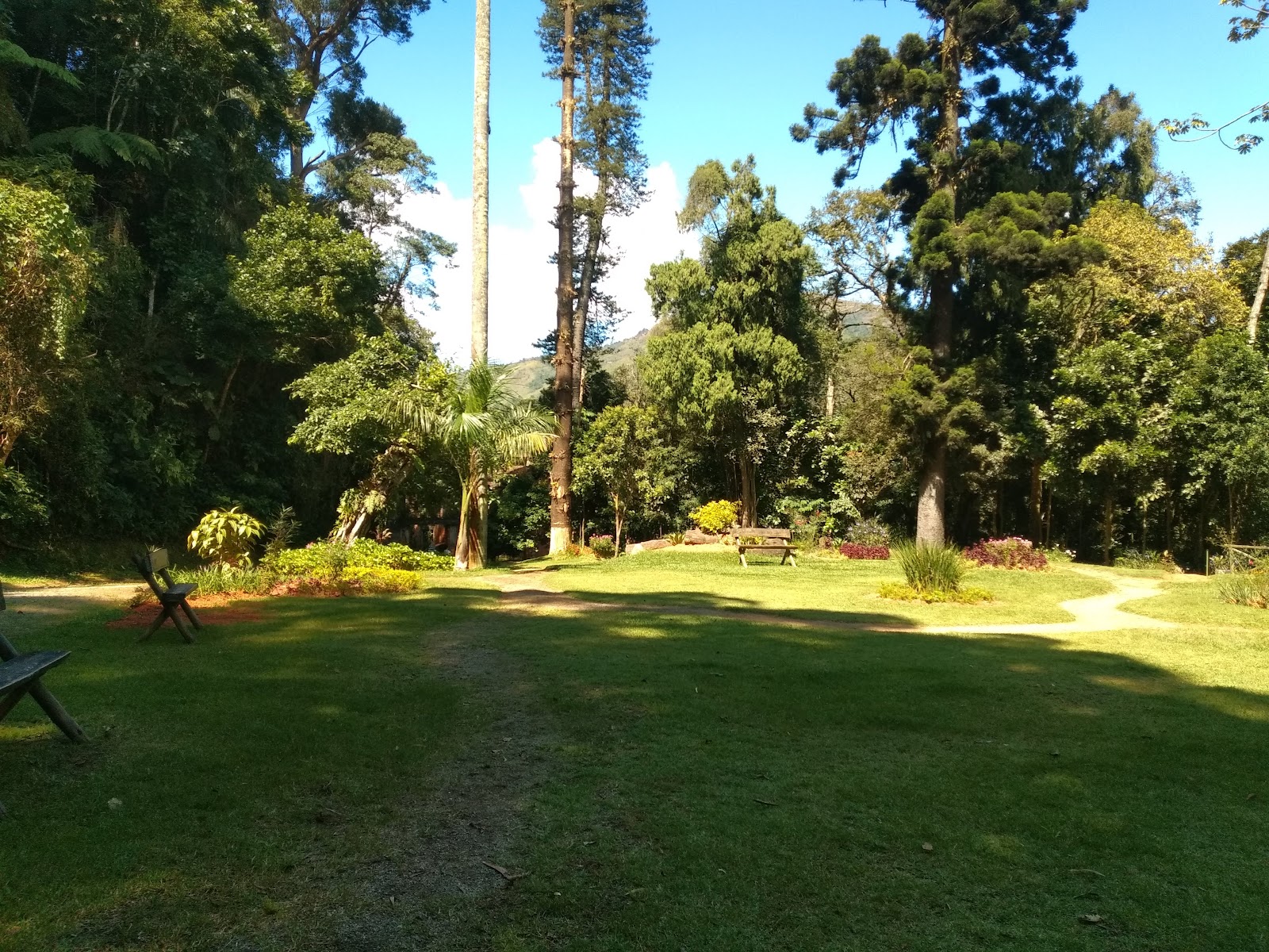 Parque Natural Municipal da Ipiranga