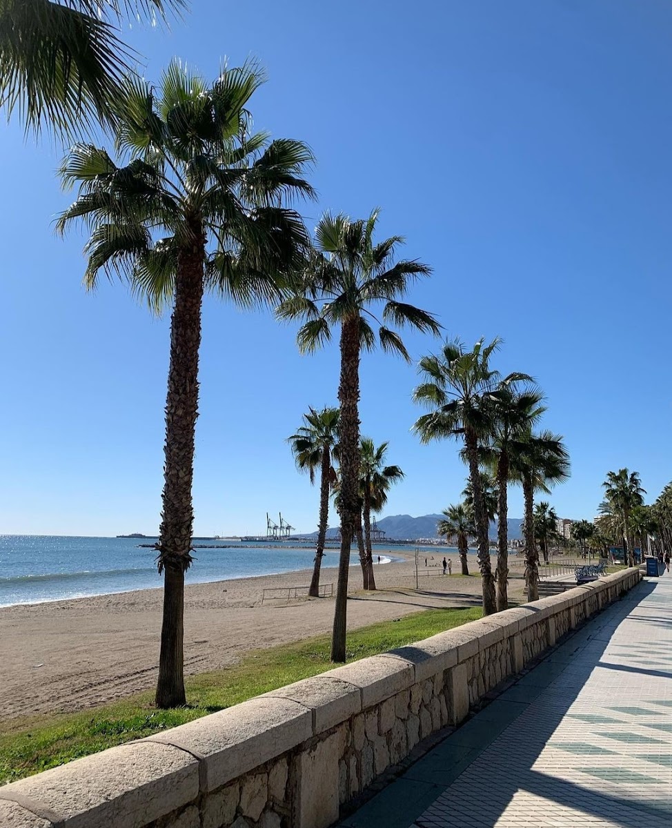 Paseo Marítimo Pablo Ruiz Picasso