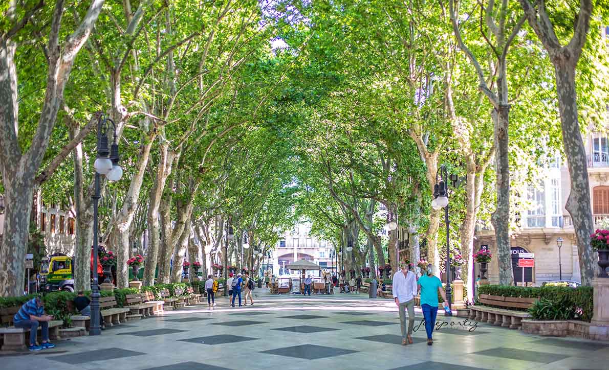 Passeig del Born