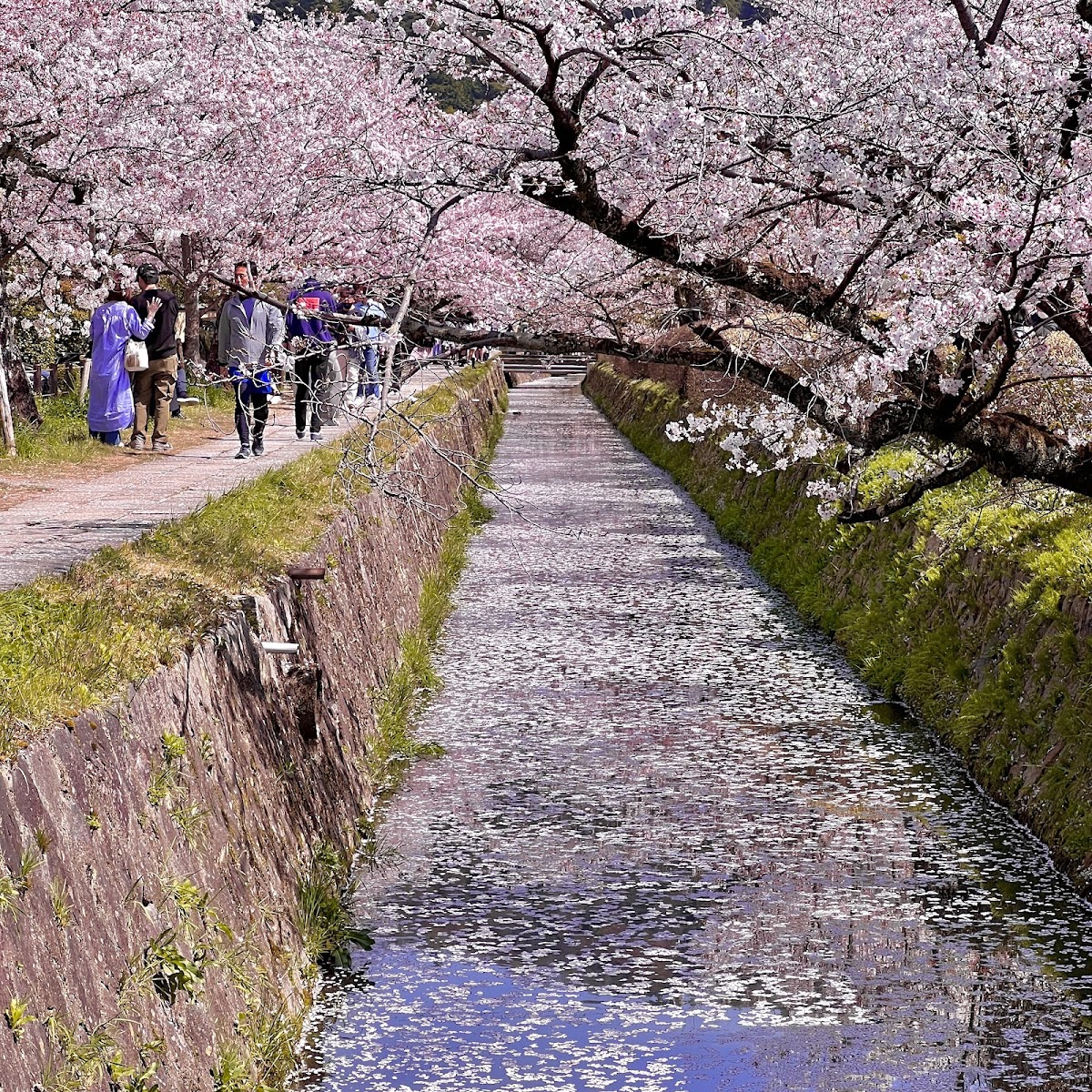 Philosopher's Path (Tetsugaku no Michi)