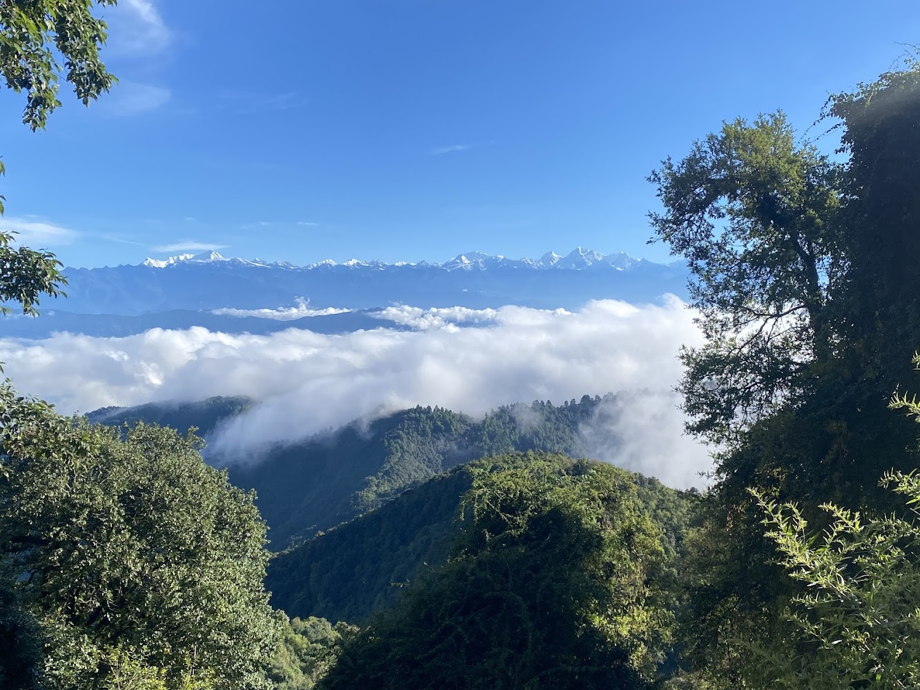 Phulchowki Hill (Lower Trails)
