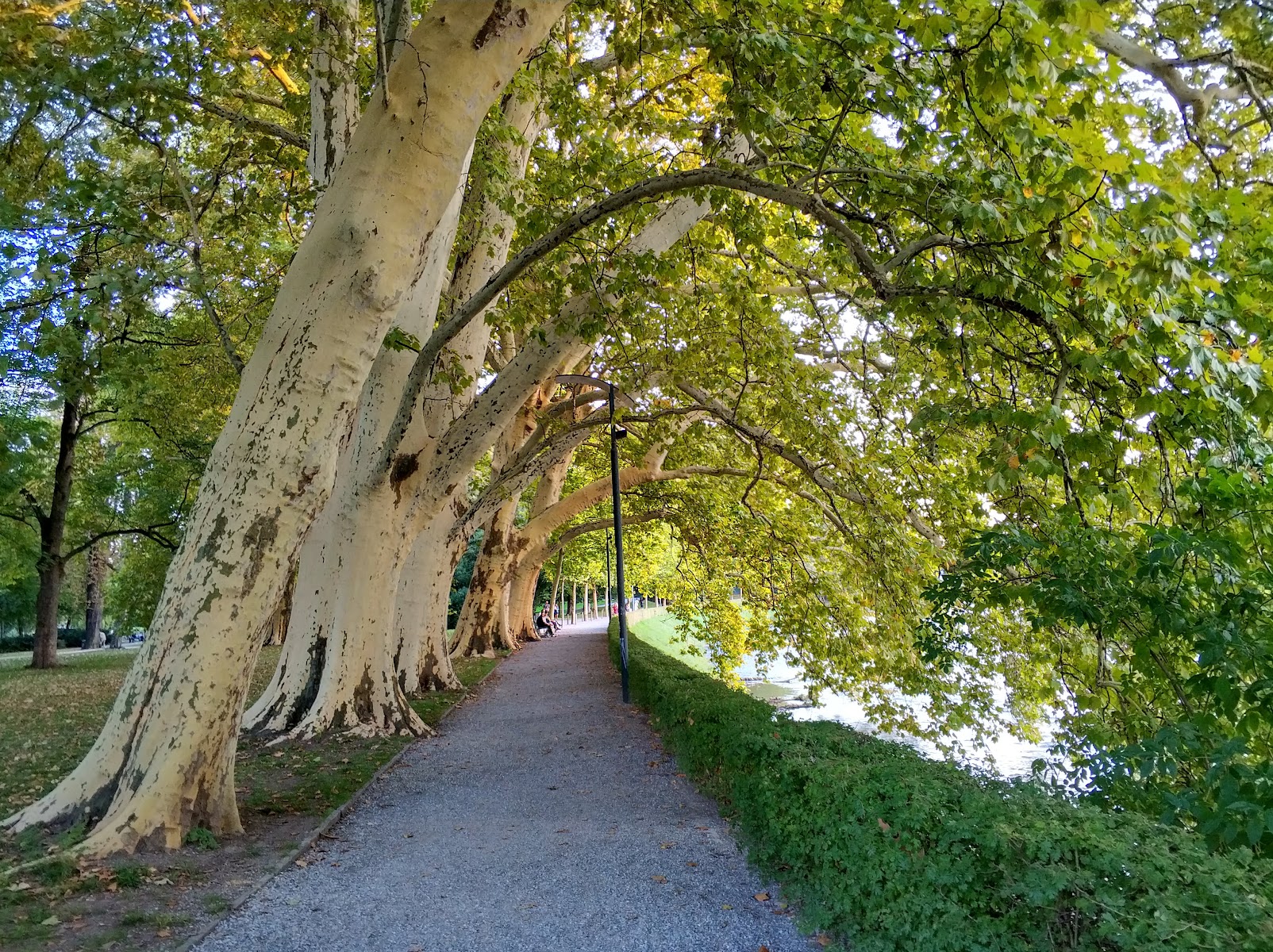 Platzspitz Park