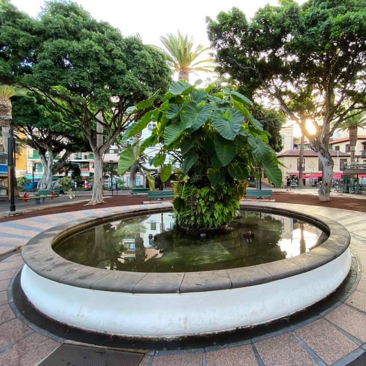 Plaza del Charco