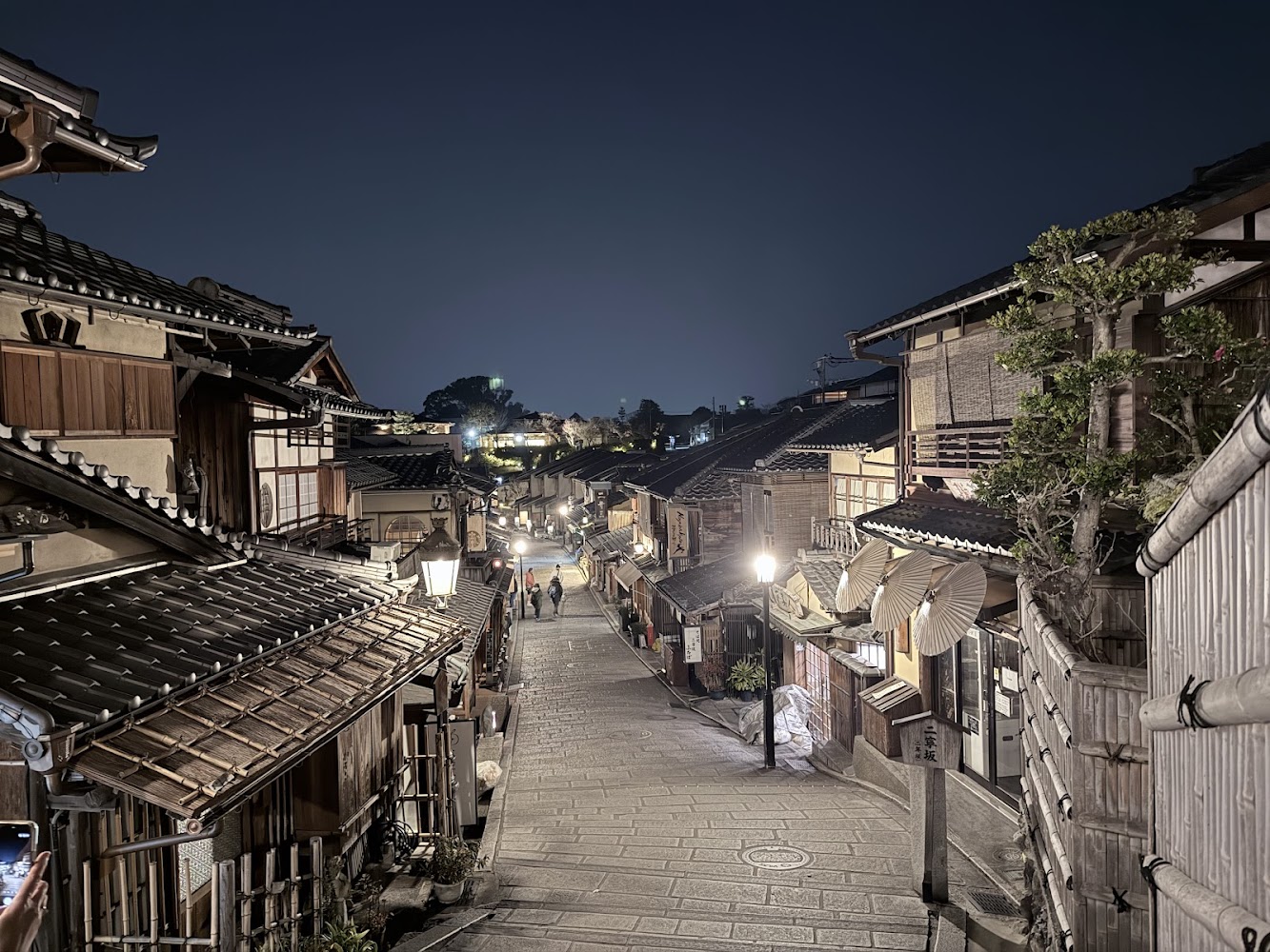 Pontocho Alley
