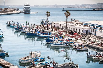 Port d'Alger