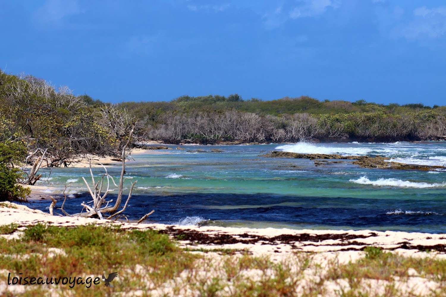 Réserve Naturelle Nationale des Îlets de la Petite-Terre