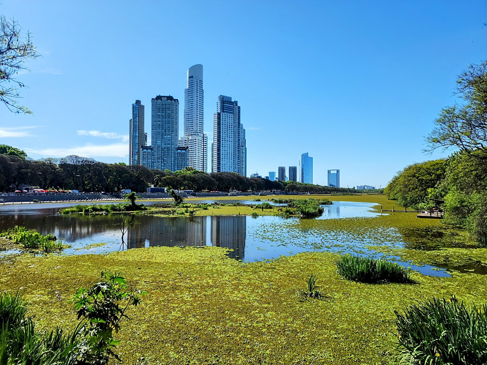 Reserva Ecológica Costanera Sur