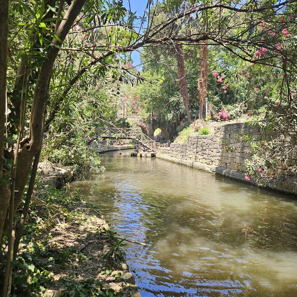 Rodini Park