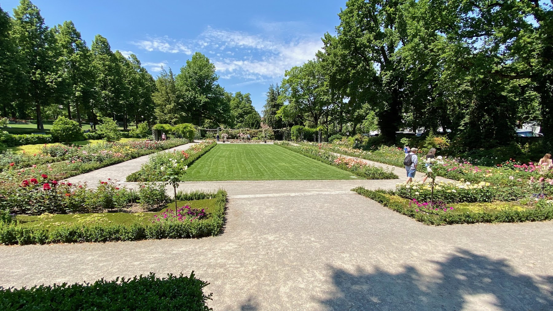 Rose Garden (Rosengarten)