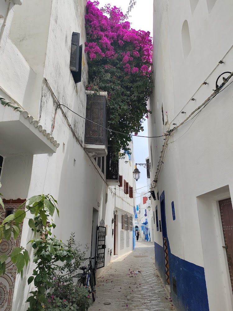 Rue Tijara