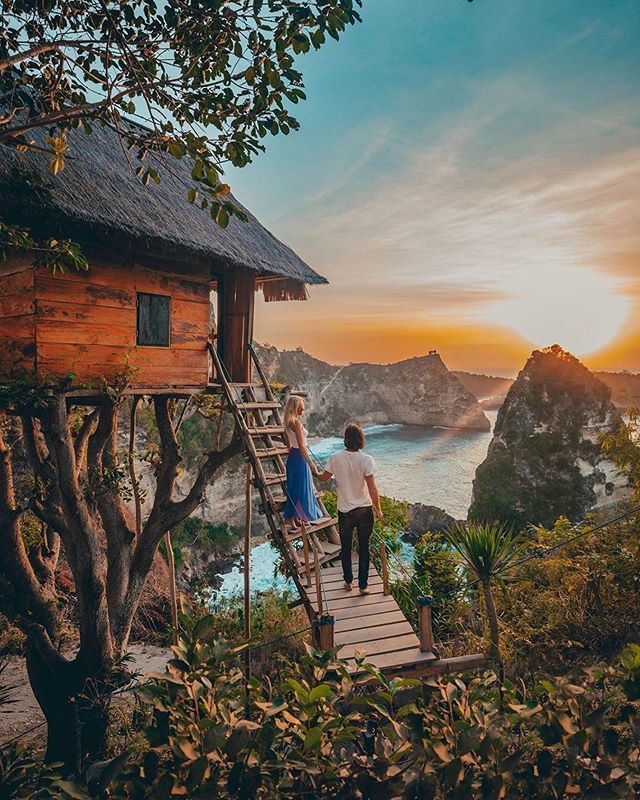 Rumah Pohon Tree House