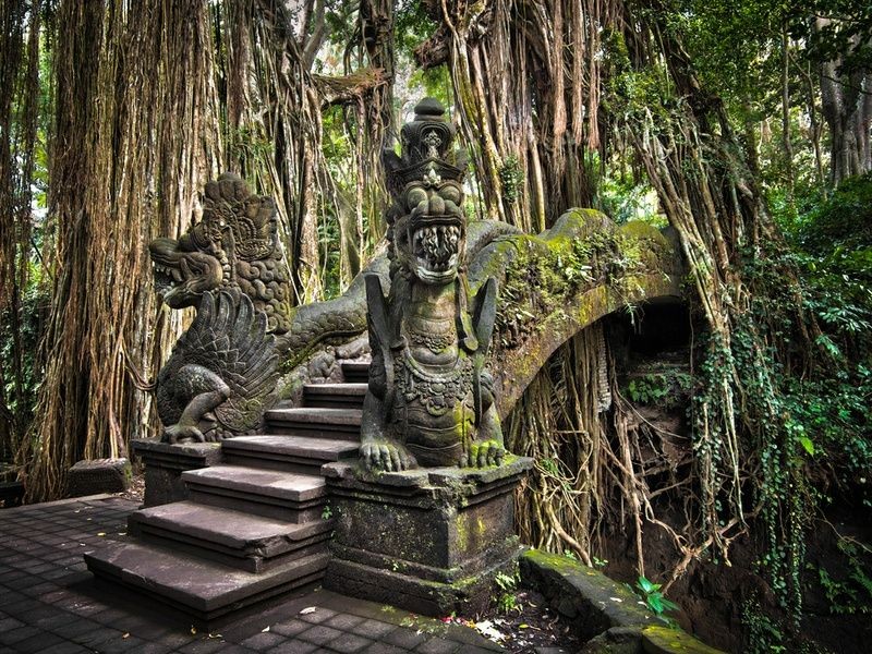Sacred Monkey Forest Sanctuary