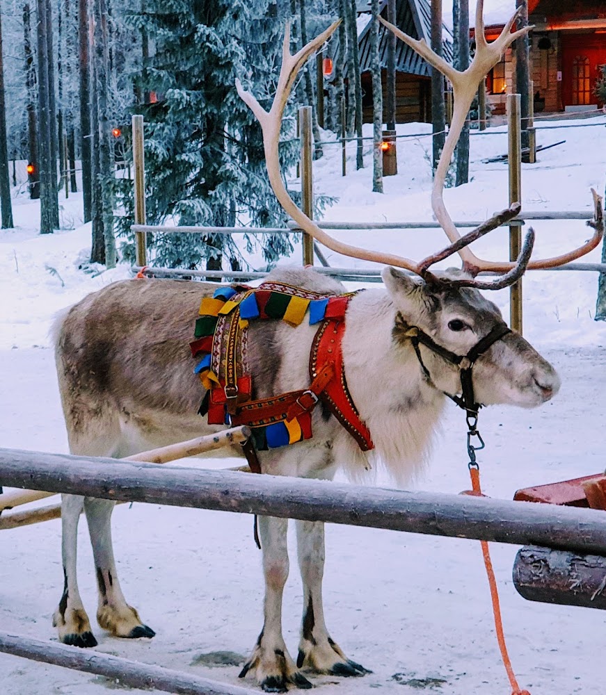 Santa's Reindeer Farm