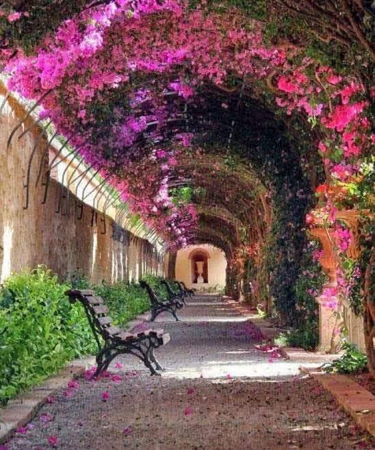 Jardines de Monforte