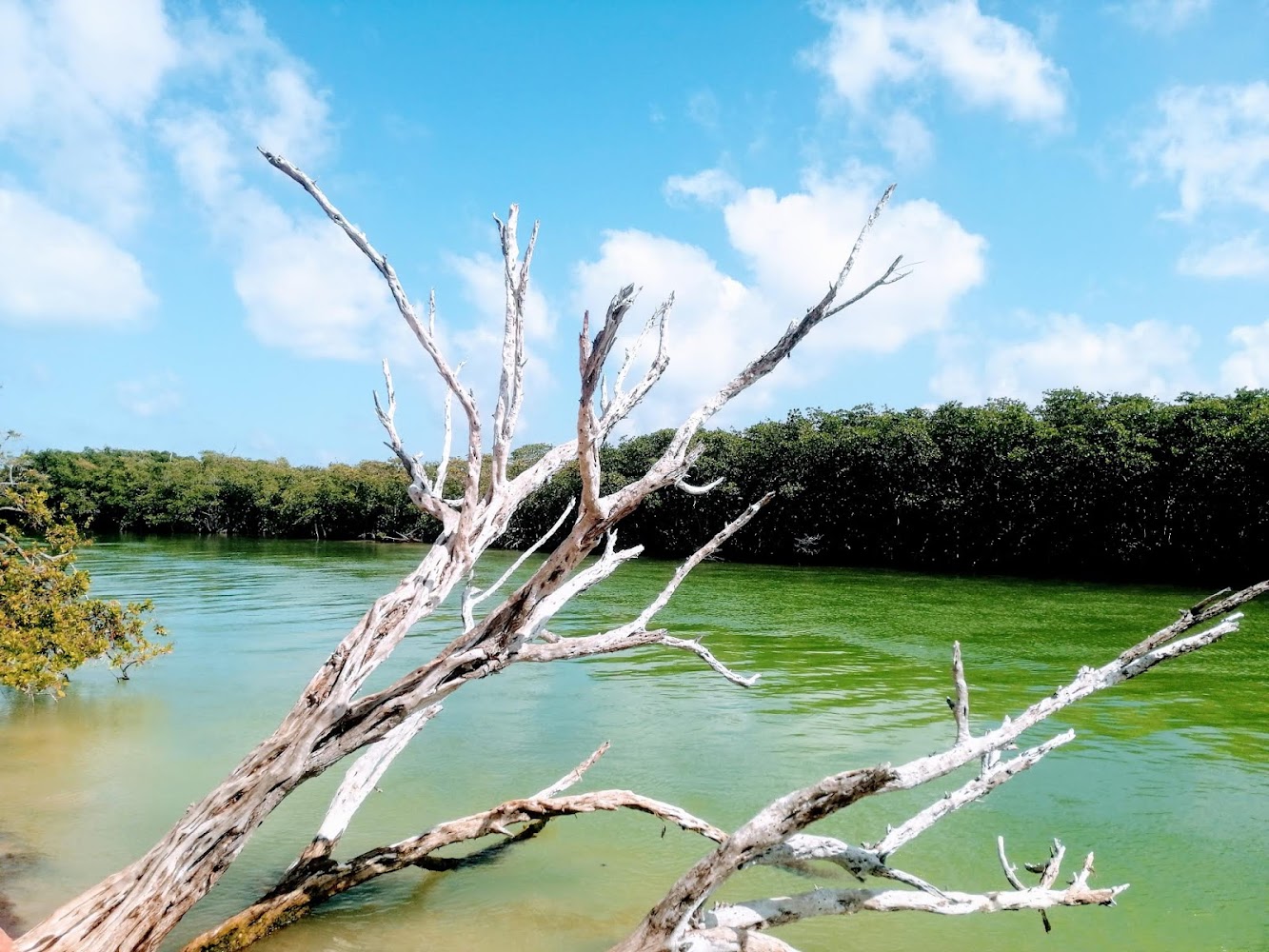 Nichupté Lagoon