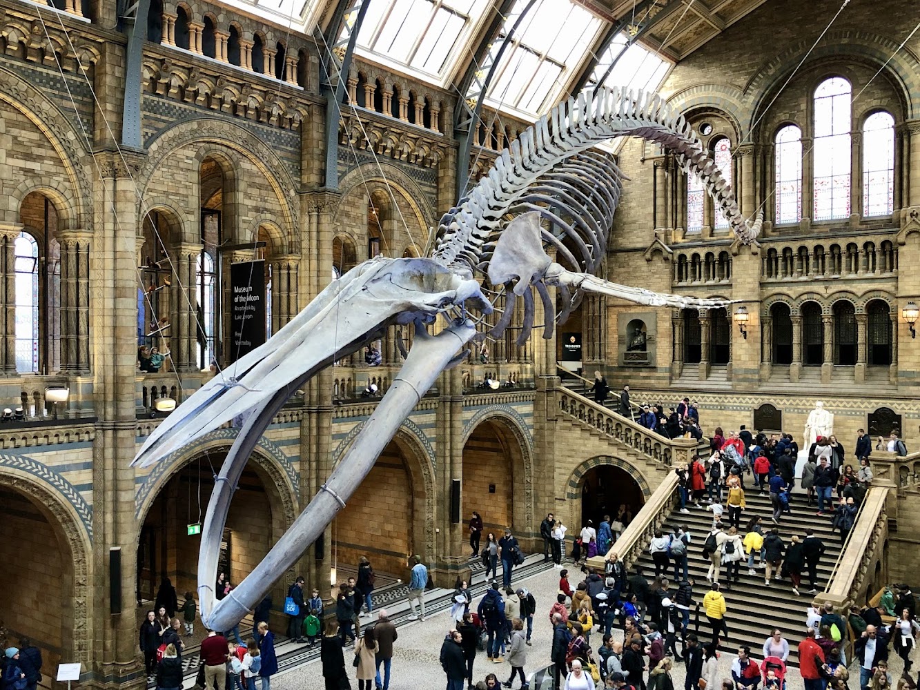 Natural History Museum