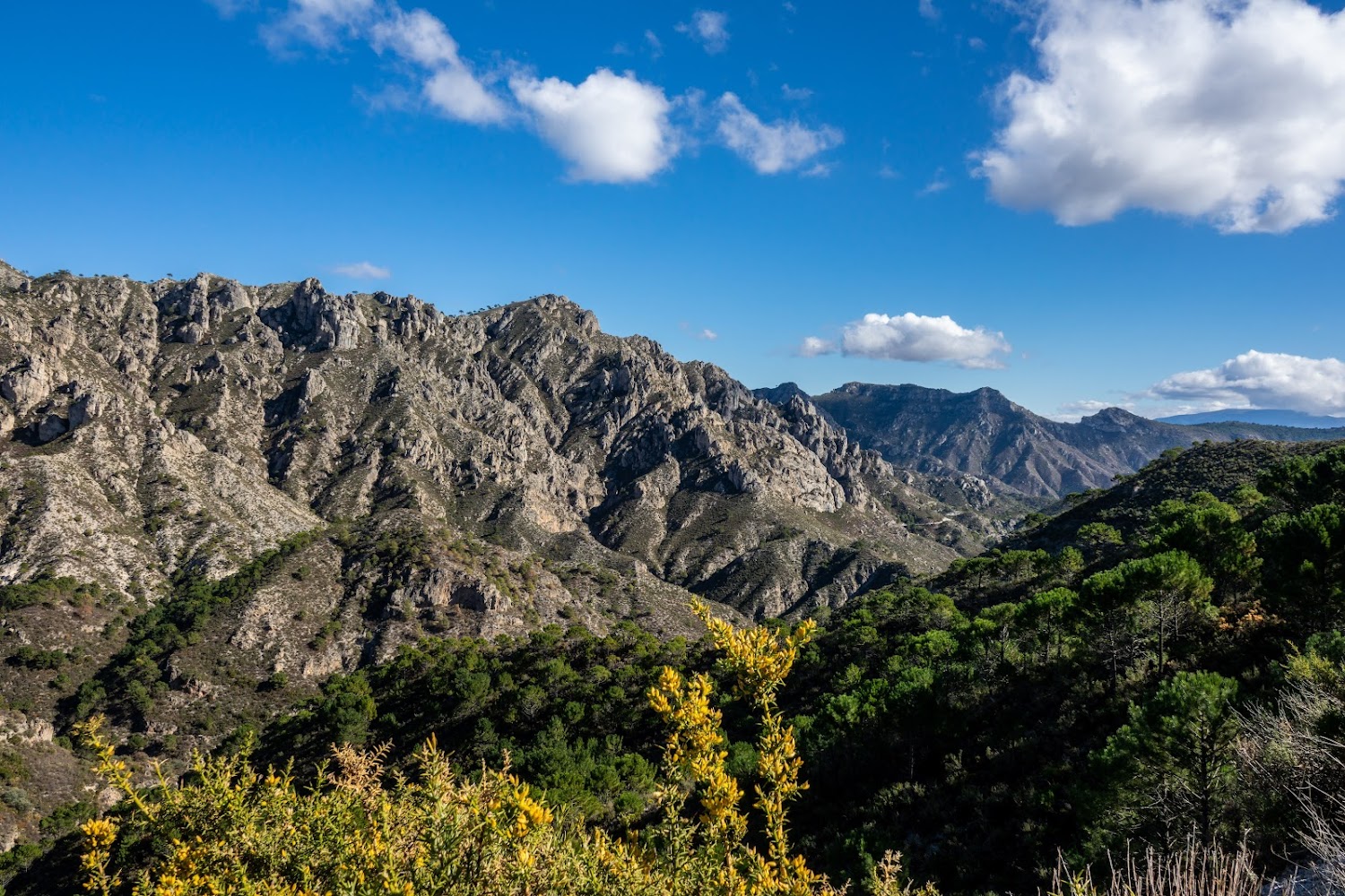 Parque Natural Sierras de Tejeda, Almijara y Alhama (near Comares)
