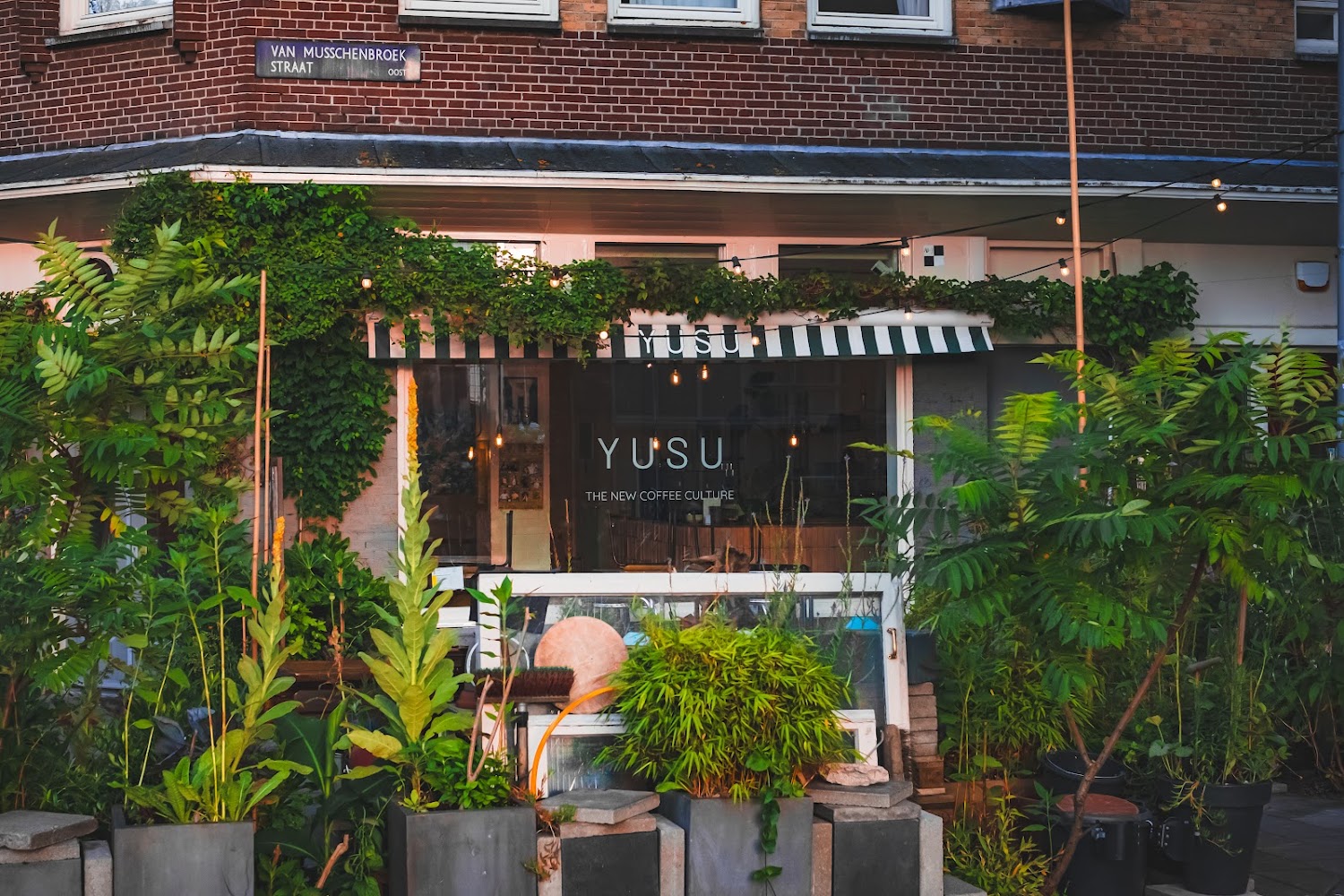 YUSU