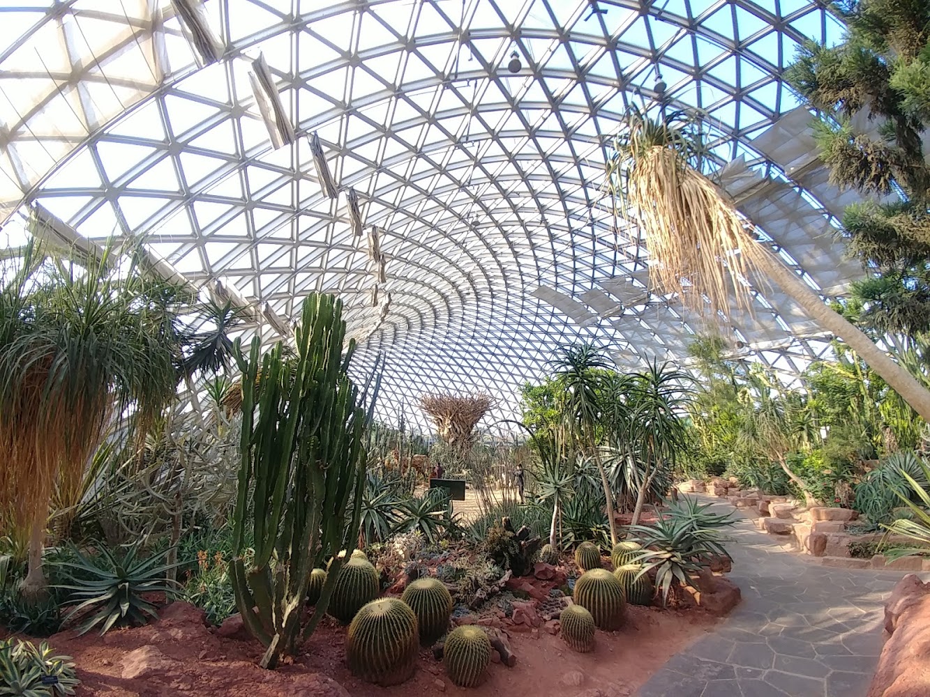 Chenshan Botanical Garden