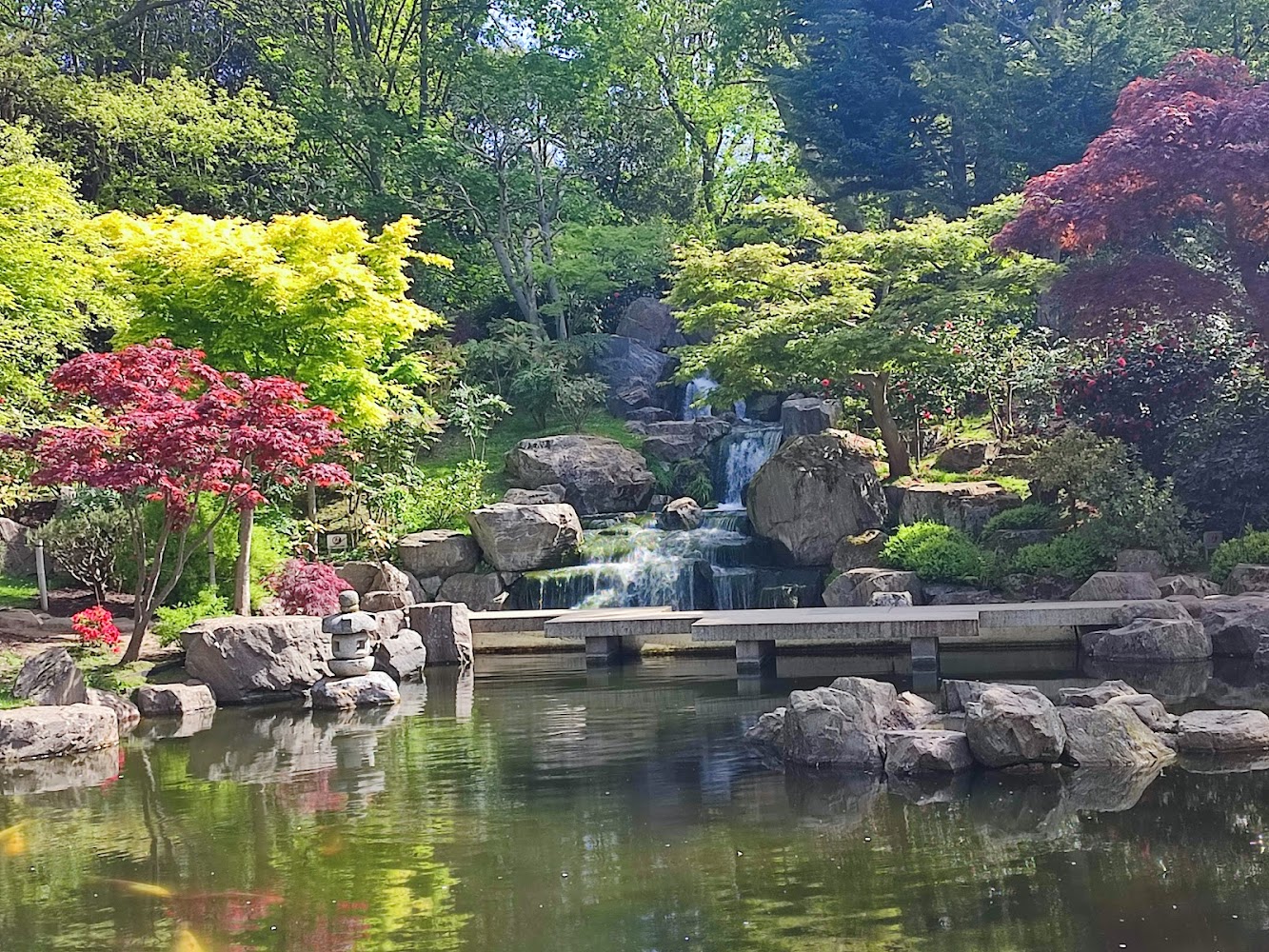 Kyoto Garden
