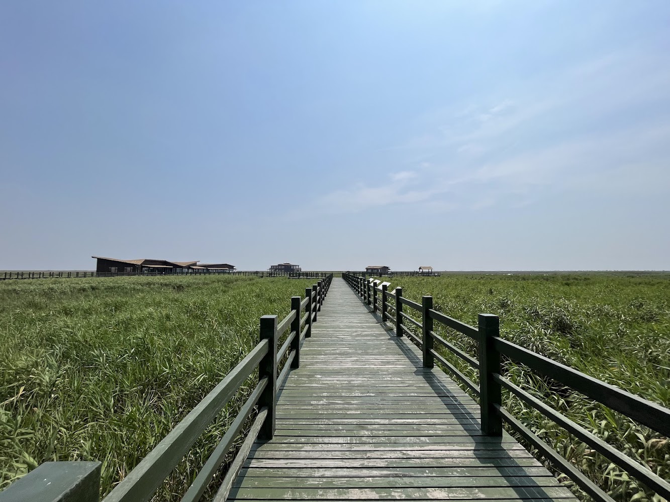Chongming Island Dongtan Wetland Park