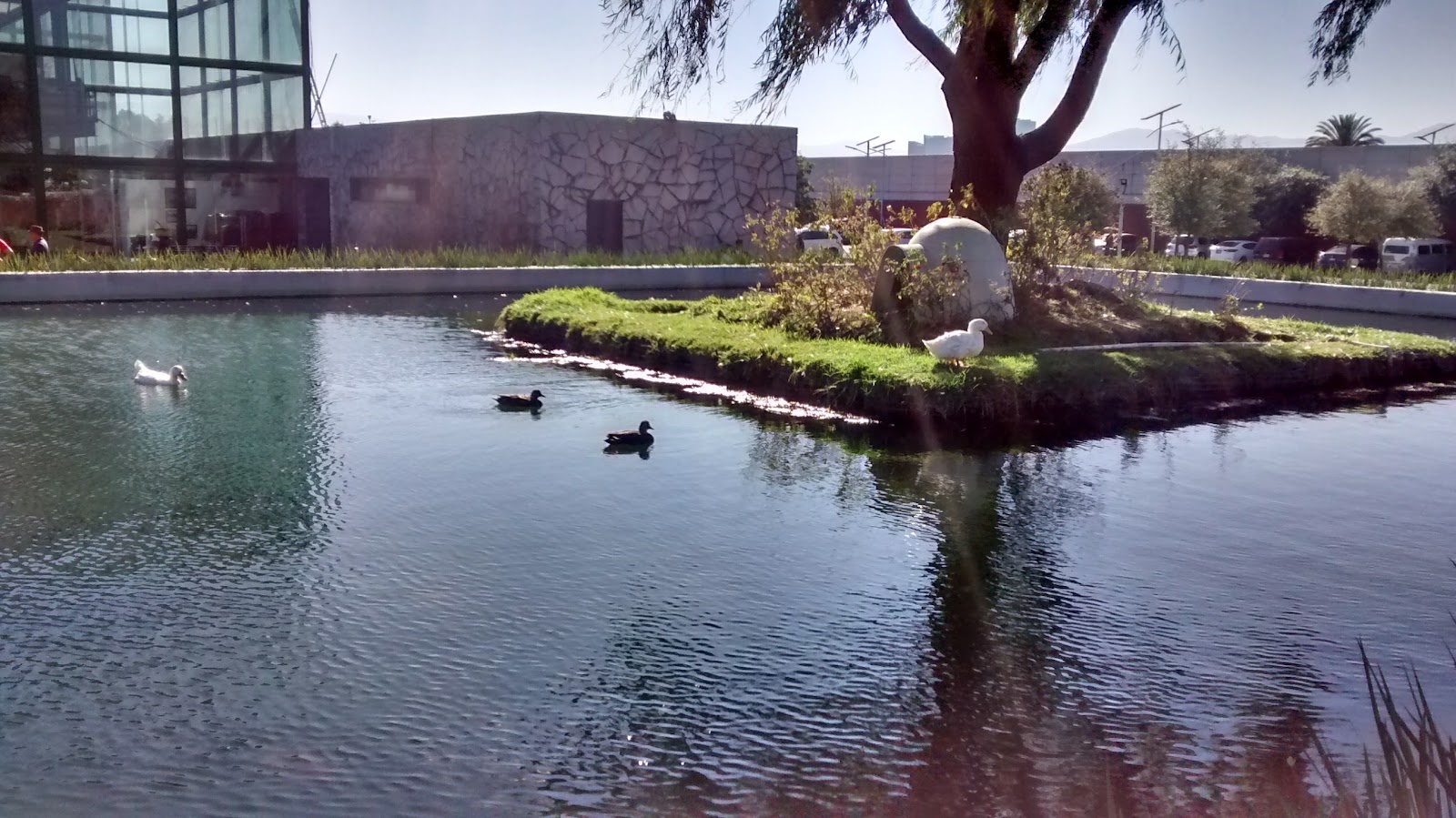 Parque Bicentenario