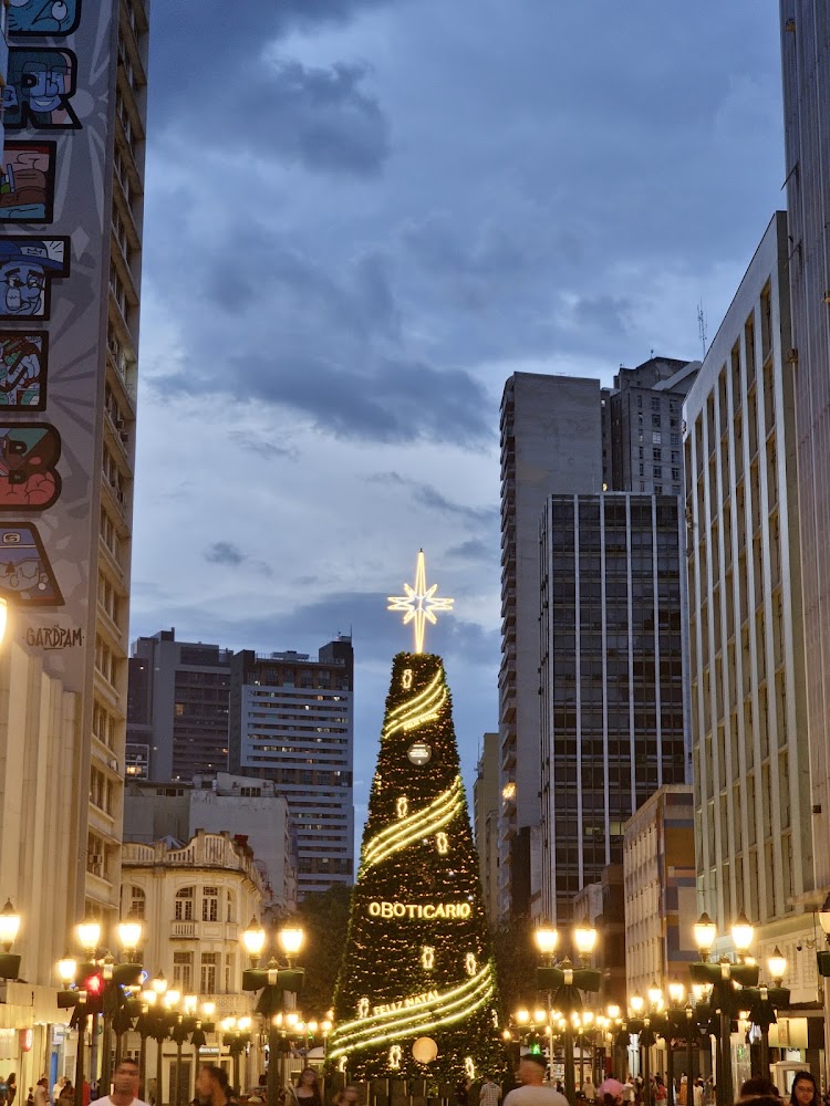 Rua XV de Novembro (Rua das Flores)