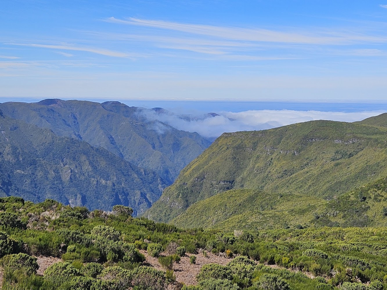Pico do Rabaçal