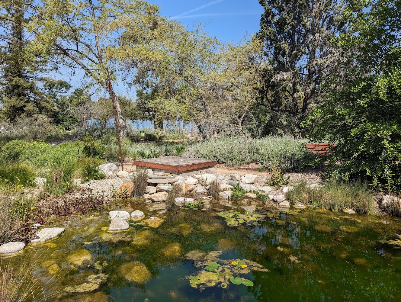 Botanical Gardens 1