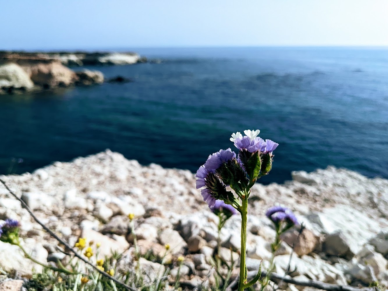 Sea Caves