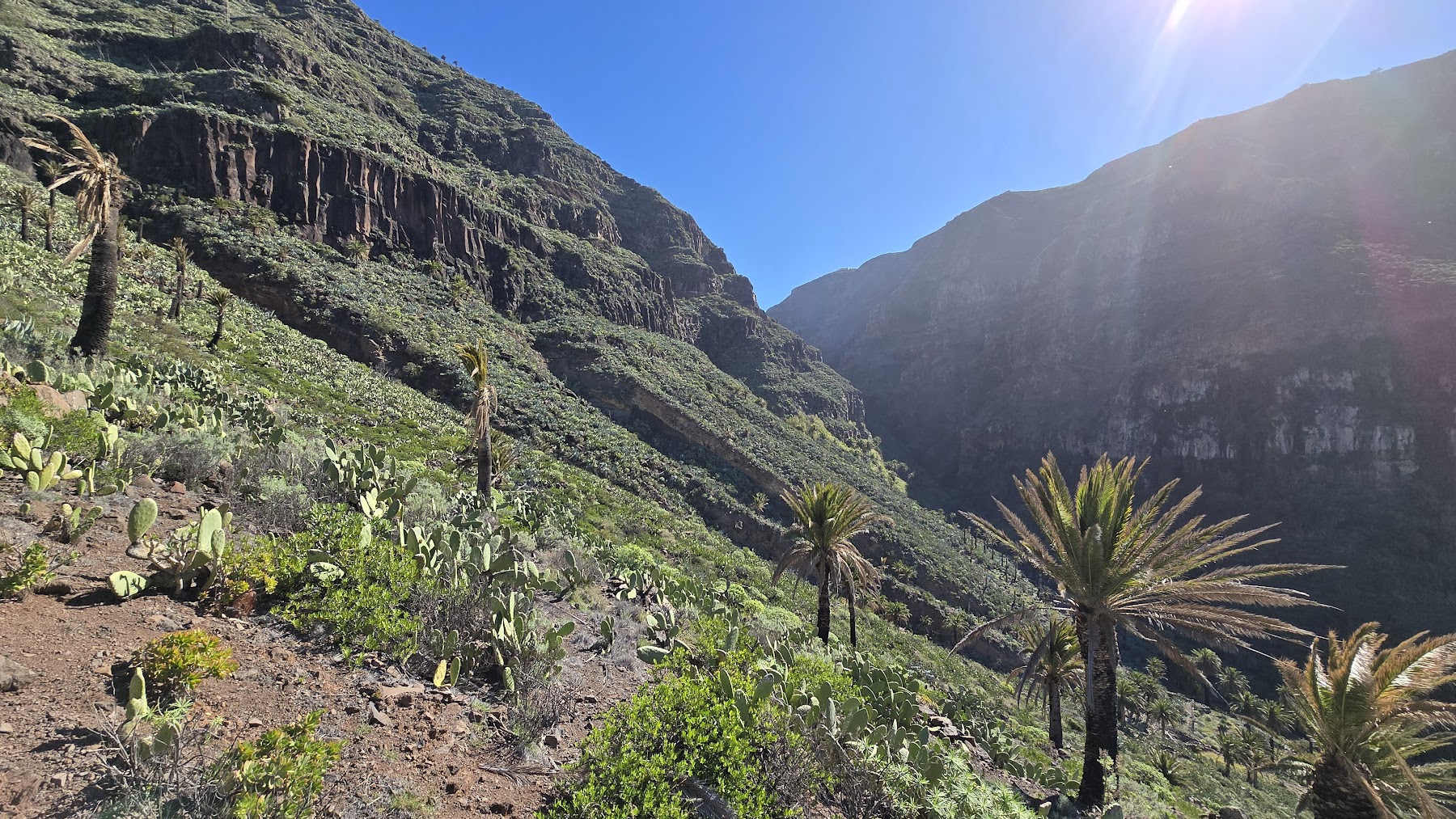 Sendero de Guarapo (Valle Gran Rey)