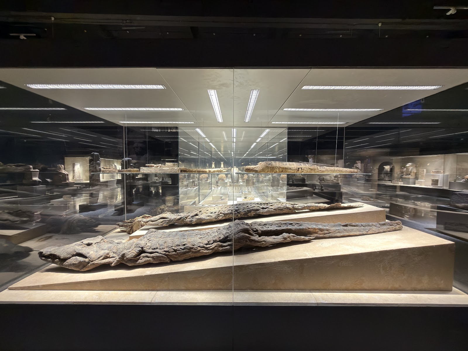Sharm el-Sheikh Museum