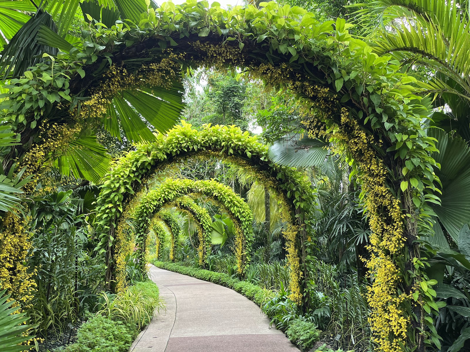 Singapore Botanic Gardens - National Orchid Garden