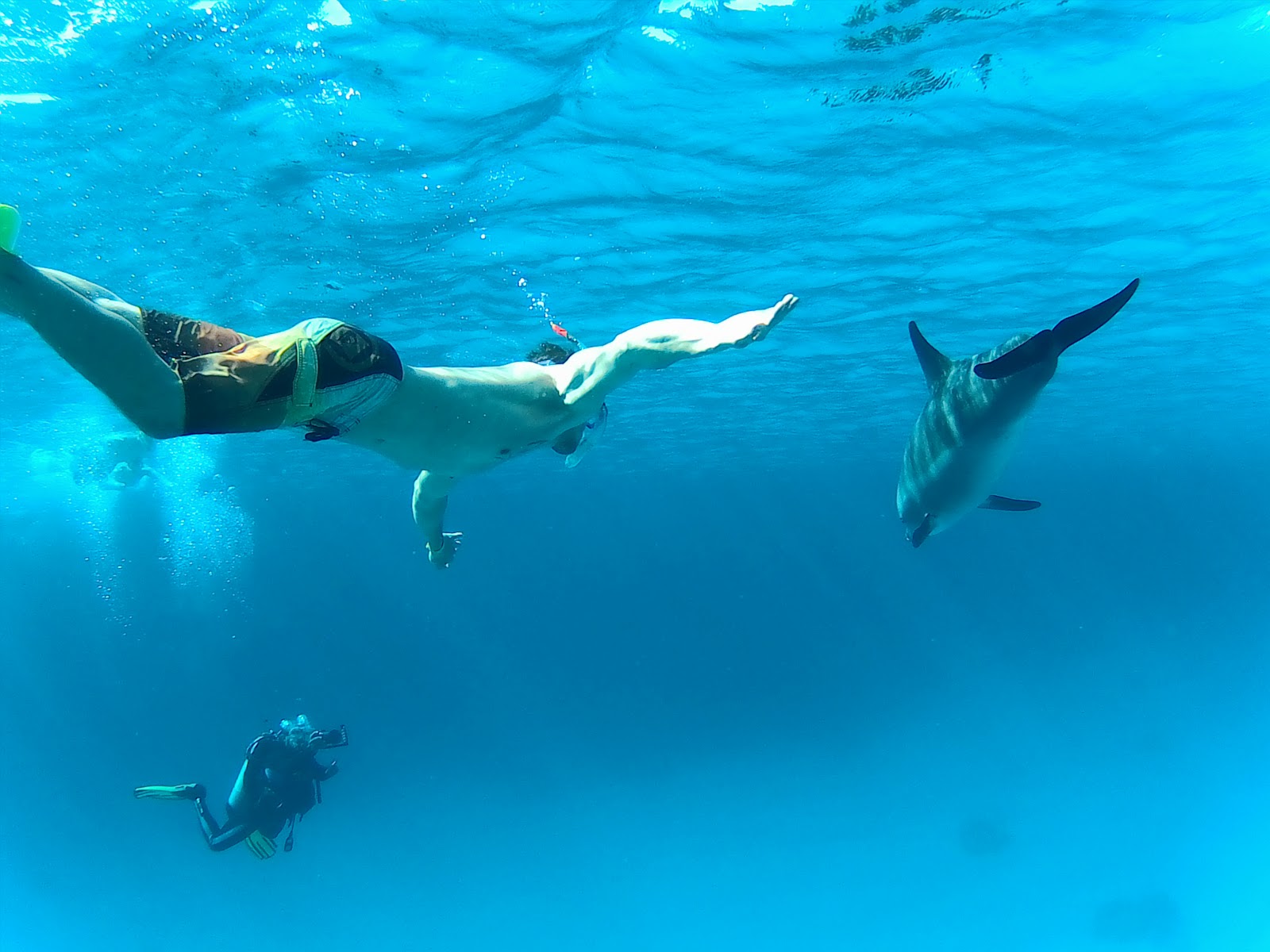 Snorkeling Stop (Dolphin House Trip)