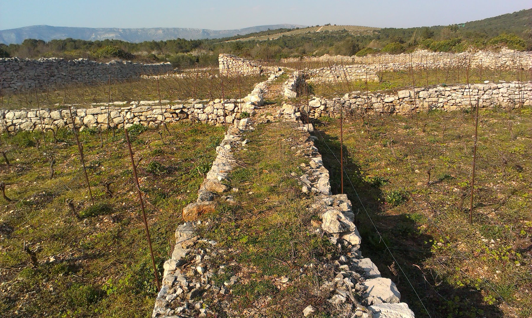 Stari Grad Plain (UNESCO World Heritage Site)