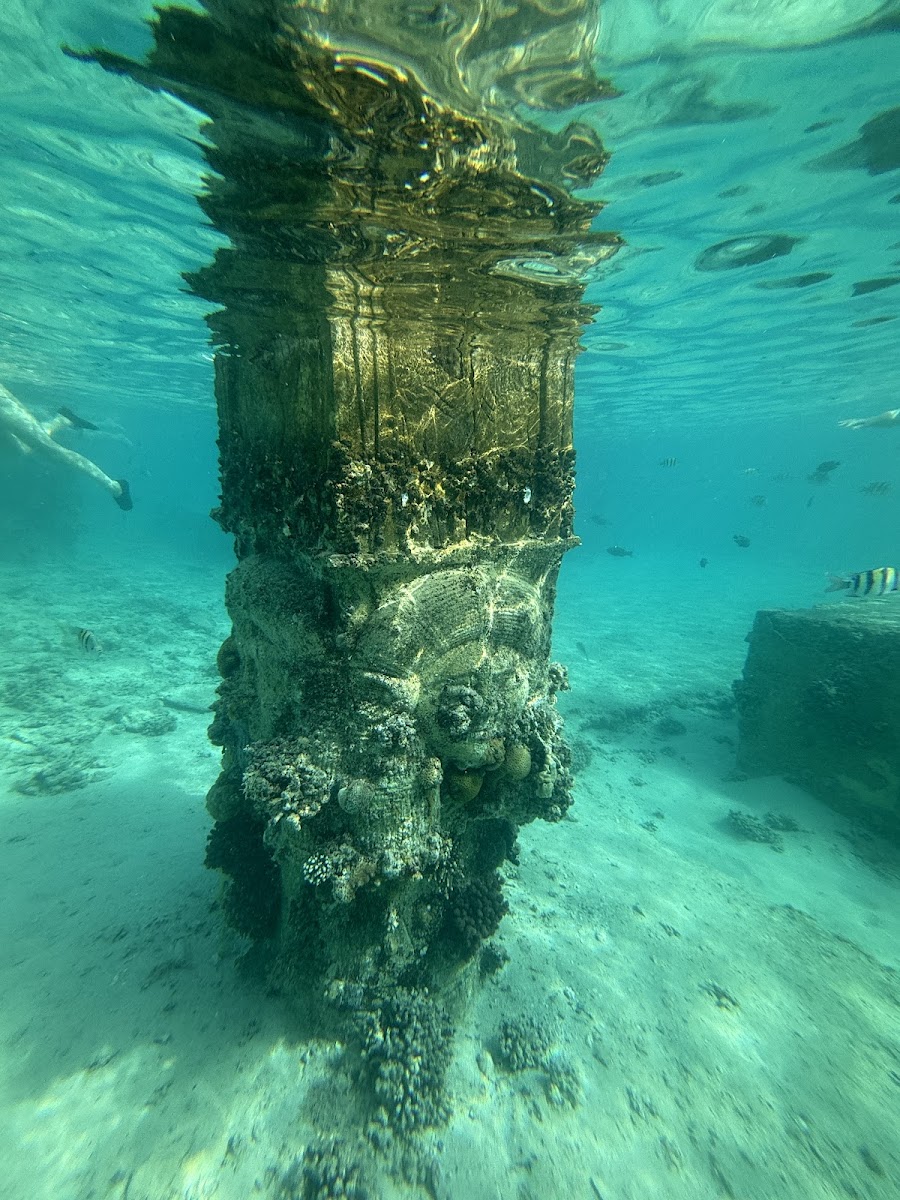 Sunken City of Sahl Hasheesh