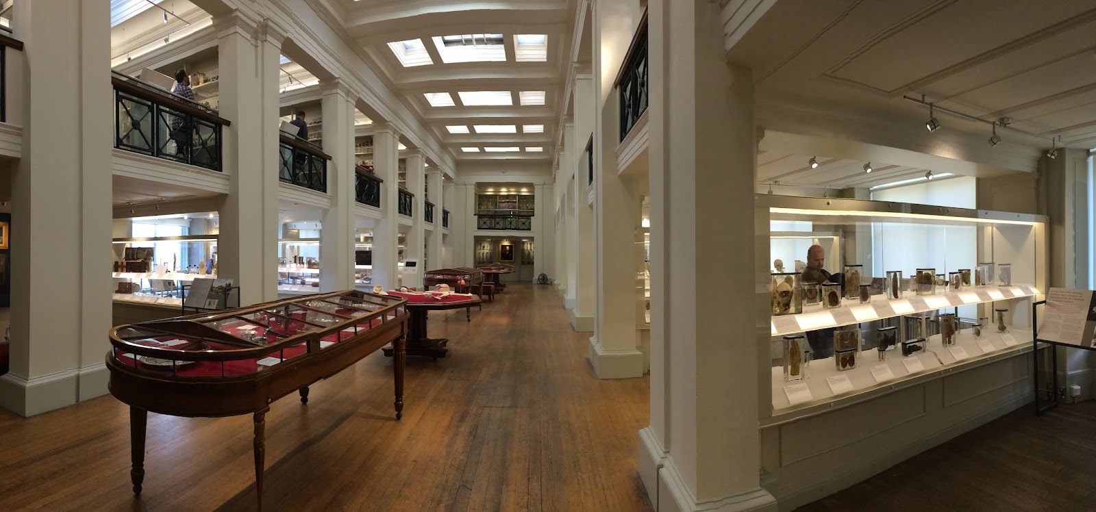 Surgeon's Hall Museums
