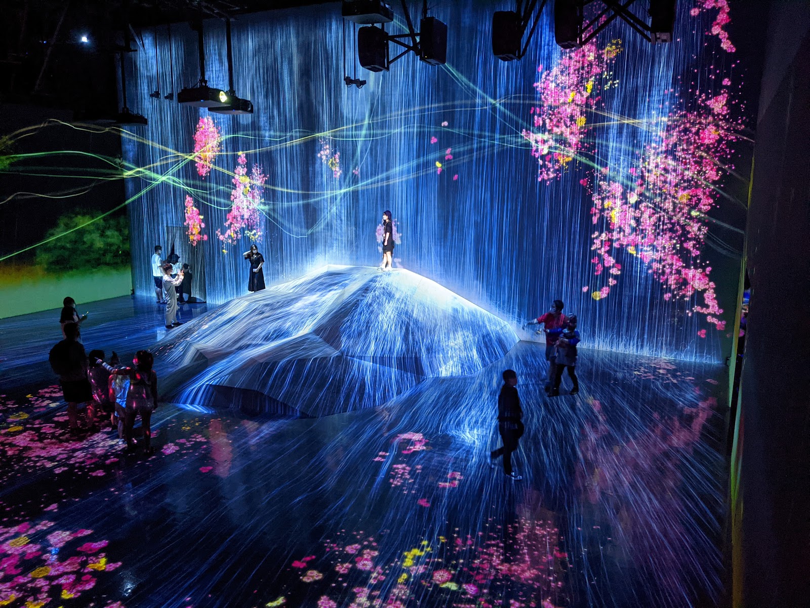 teamLab Borderless: MORI Building DIGITAL ART MUSEUM