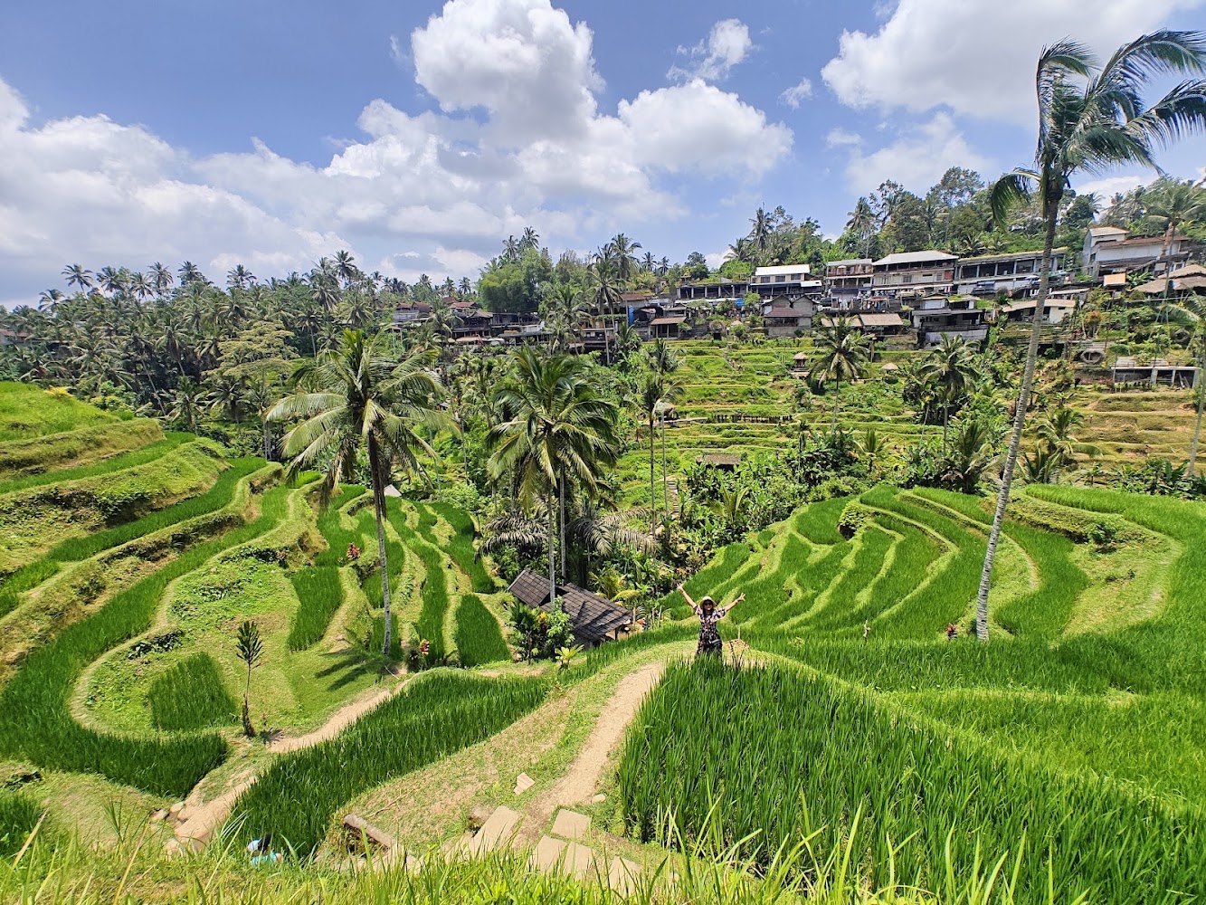 Tegallalang Rice Terrace