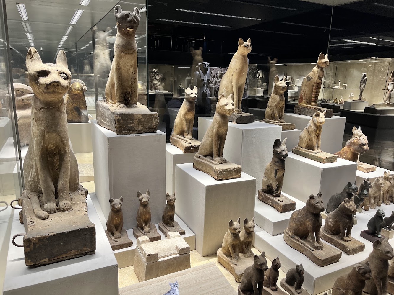 The Egyptian Museum (Sharm El Sheikh Branch)