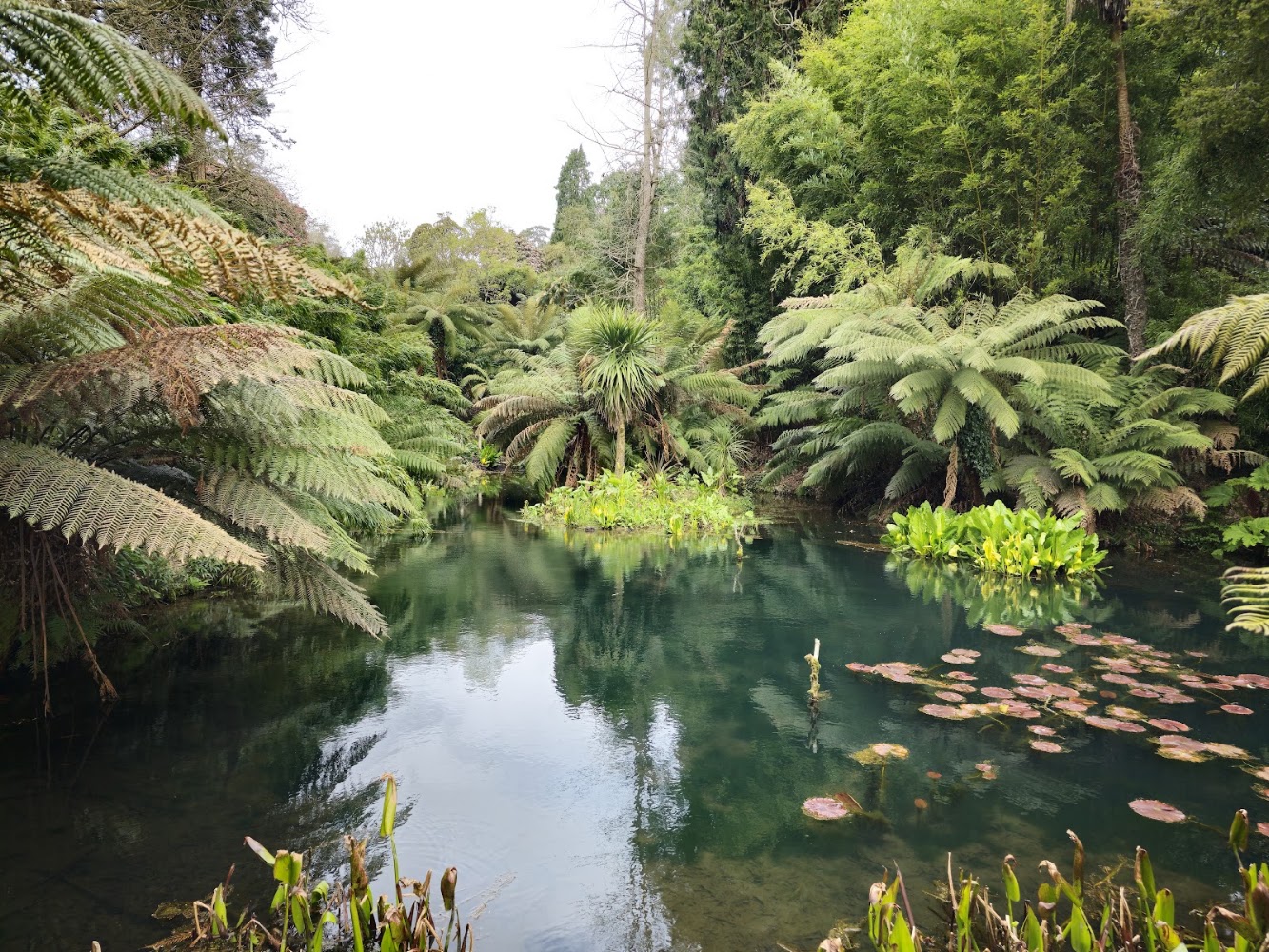 The Lost Gardens of Heligan