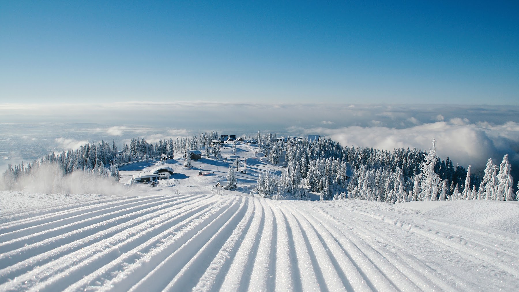 The Peak of Vancouver (Grouse Mountain)