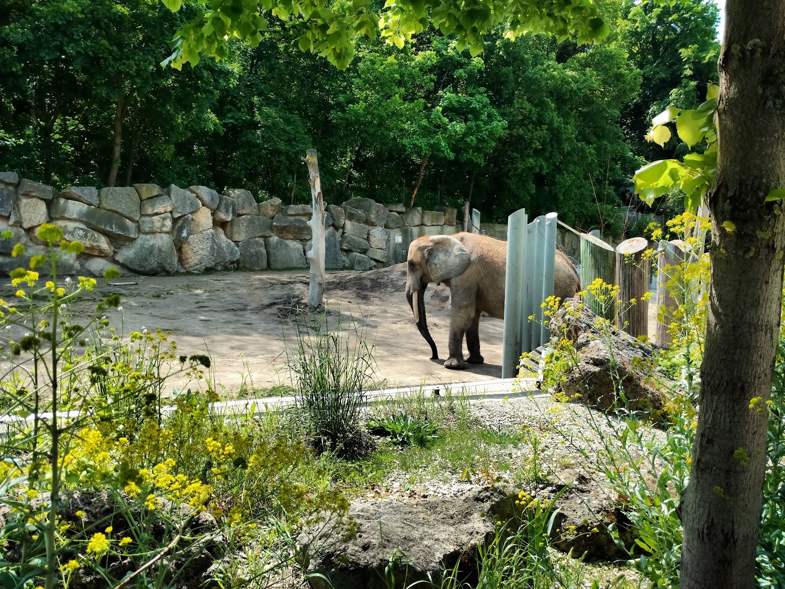 Tiergarten Schönbrunn (Vienna Zoo)