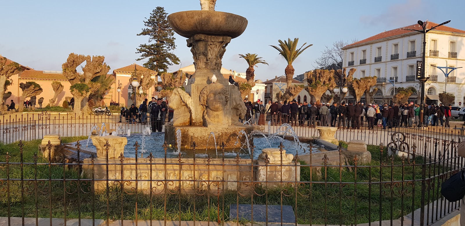 Tipaza