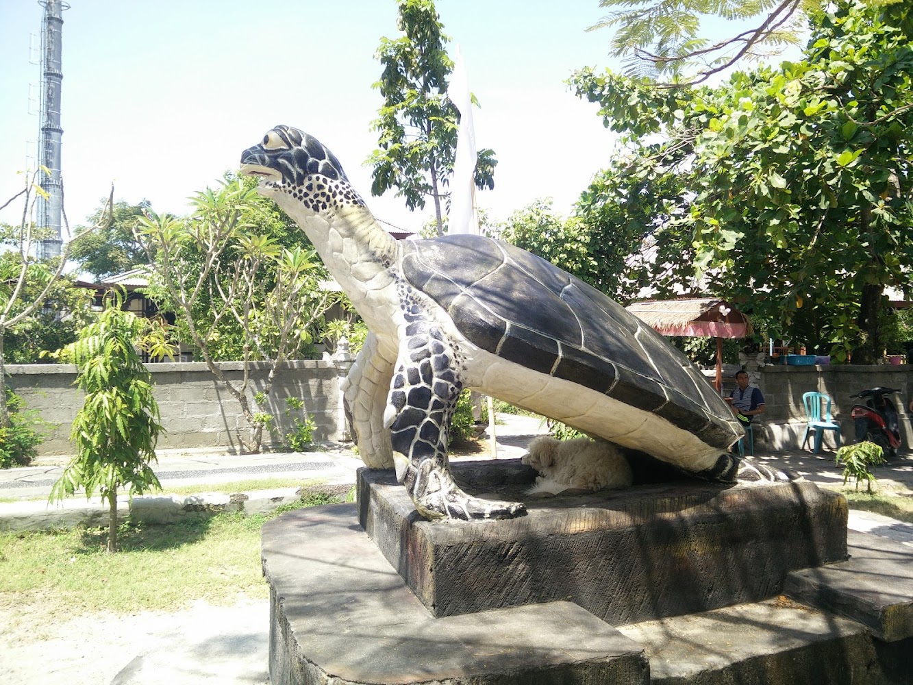 Turtle Conservation And Education Centre