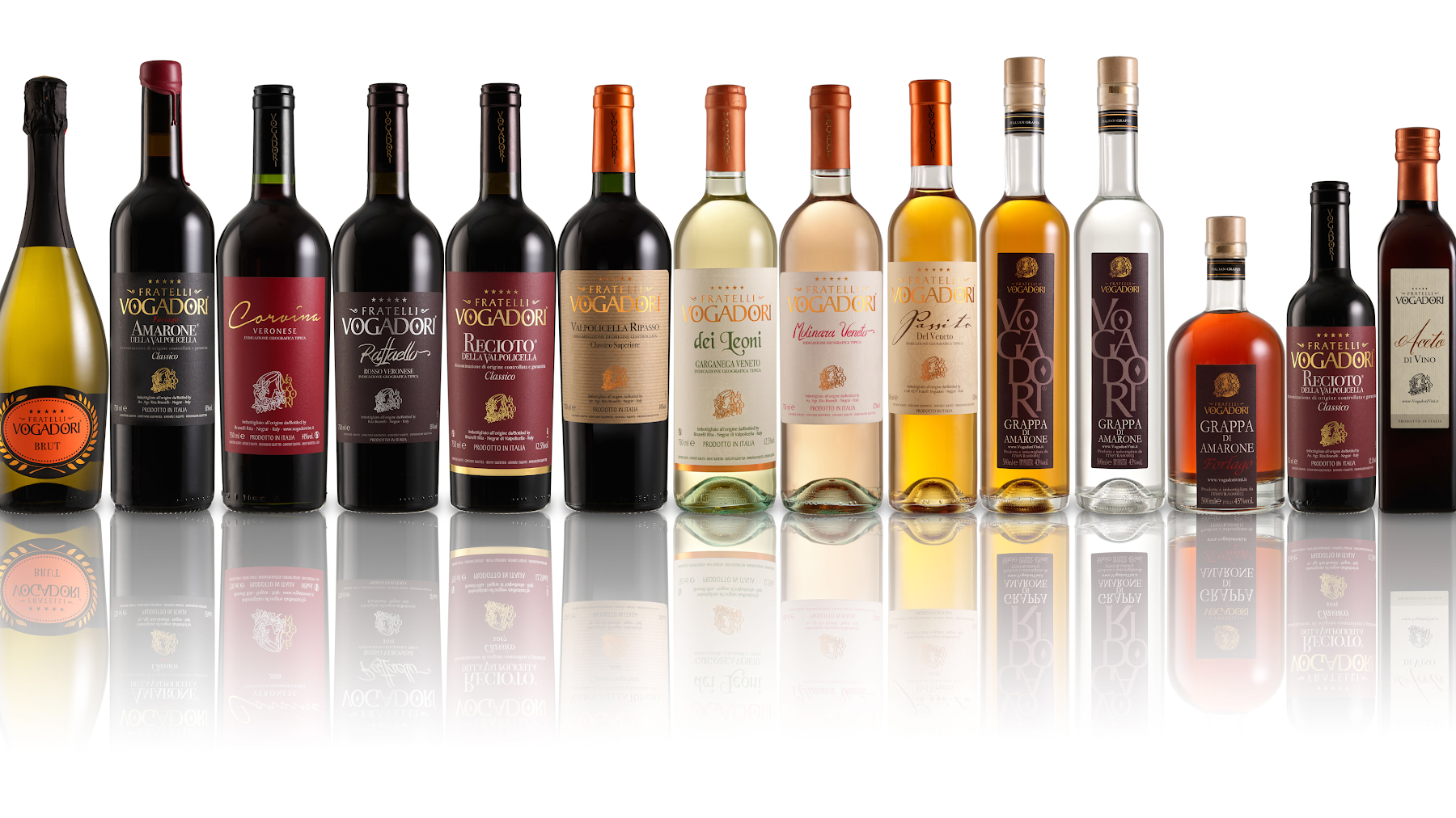 Valpolicella Vineyards Scenic Drive