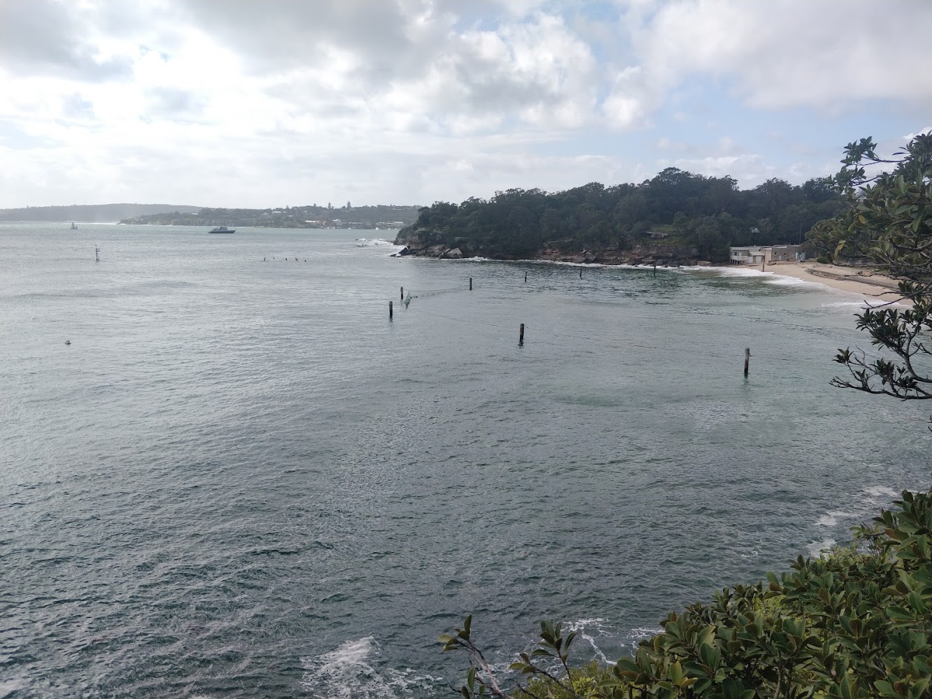 Vaucluse Beach