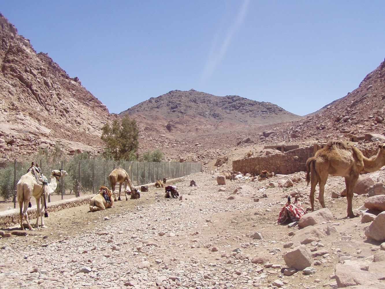 Wadi El Arbaein
