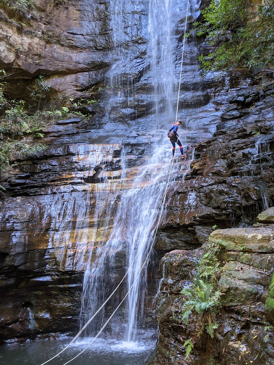 Wentworth Falls