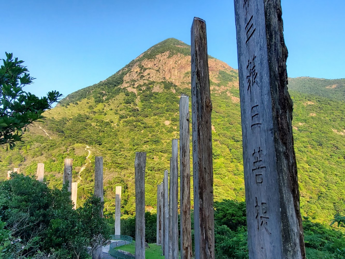 Wisdom Path